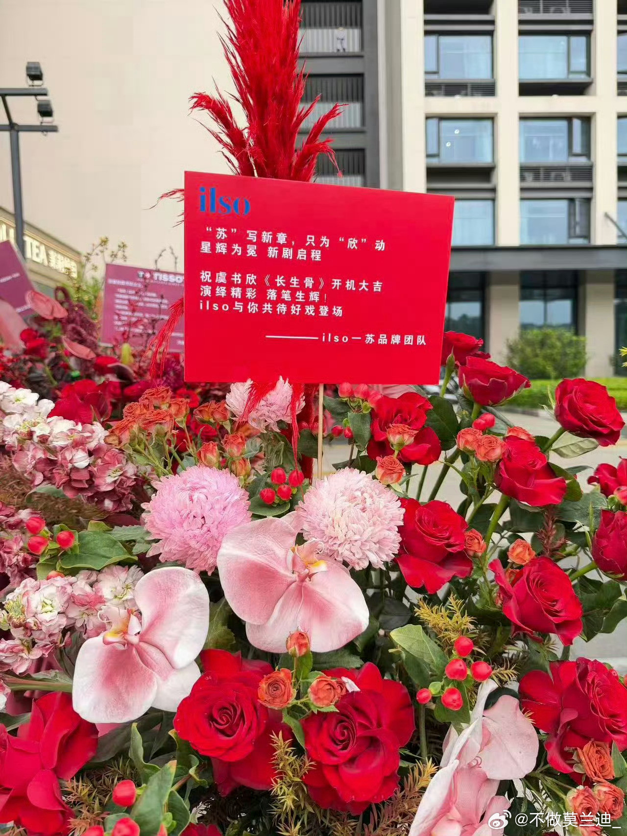虞书欣新商务官宣节奏念相思（长生骨）开机也送了花恭喜喽～
