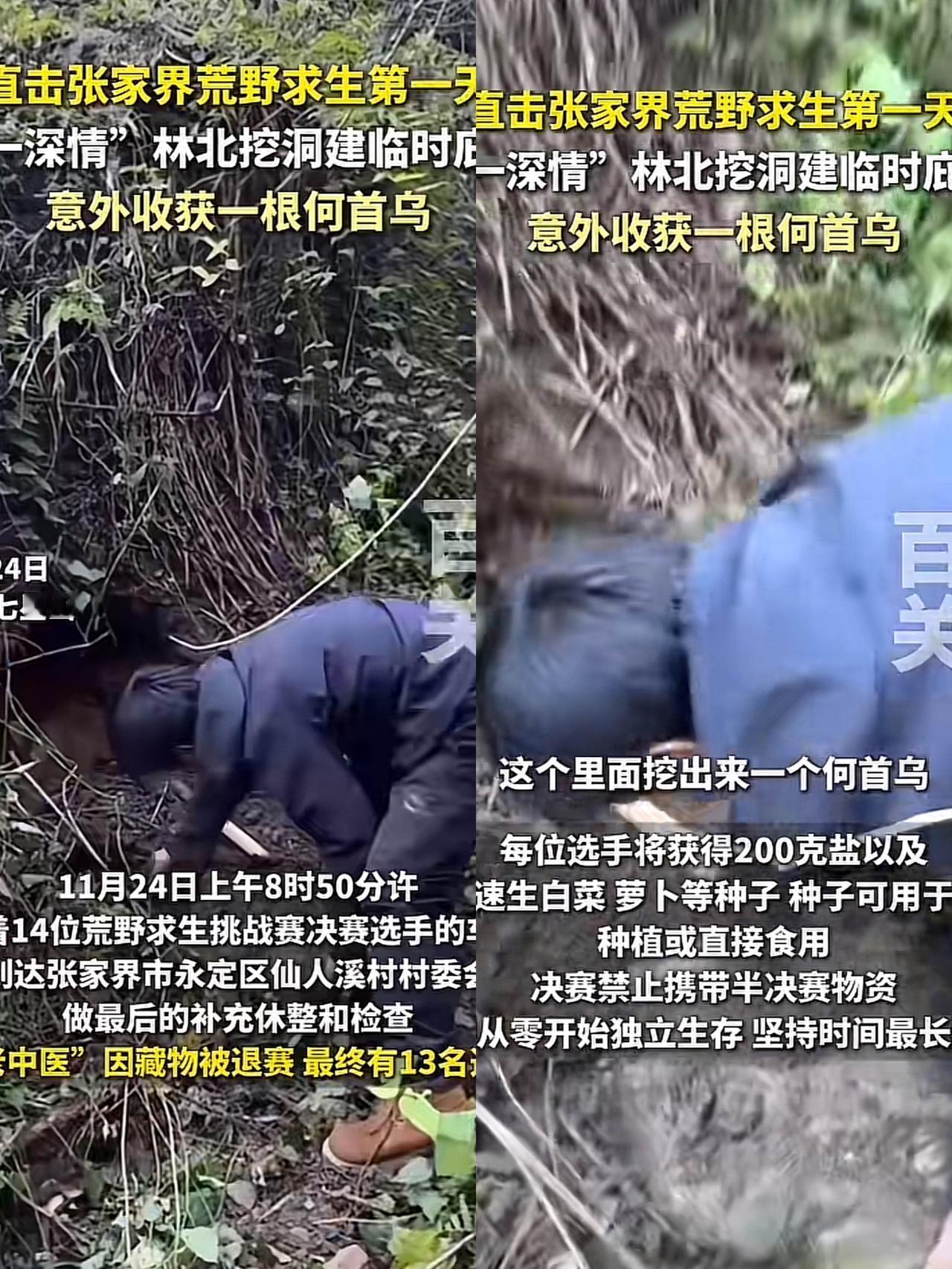 不得不说，荒野林北真是个聪明人！他第一天进山，做的第一件事不是找食物，也