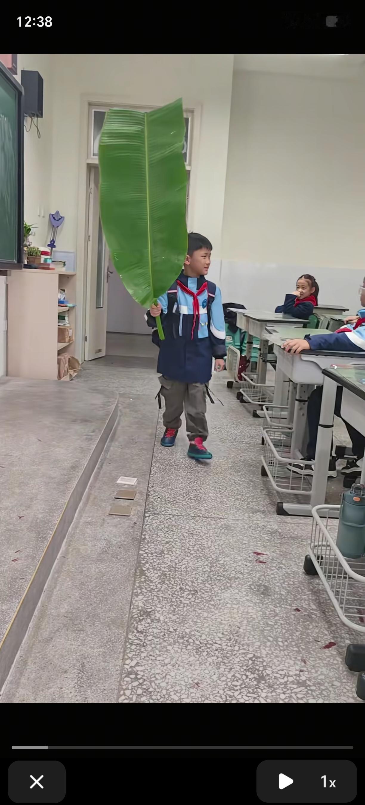 “笑不活了！”四川成都，一老师给同学安排任务，让他们自己找片叶子上课用，可没想到