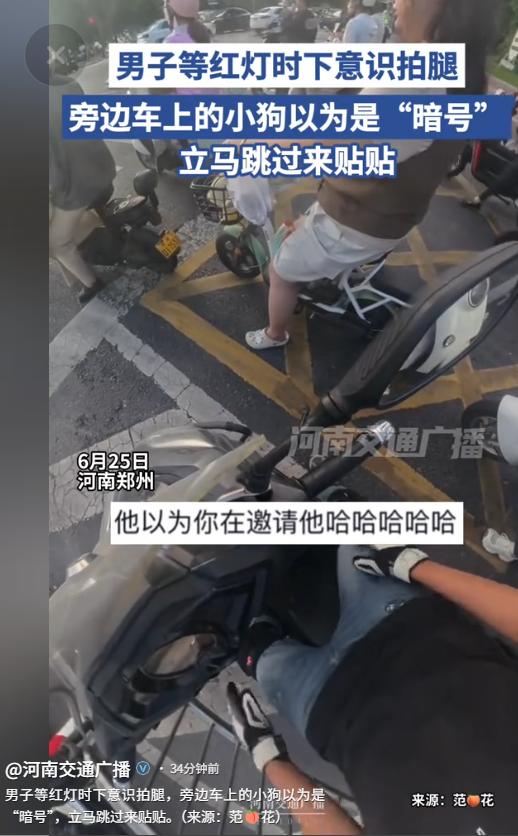 “生活总有突如其来的可爱惊喜！”6月26日河南交通广播报道了河南郑州一名男子骑车