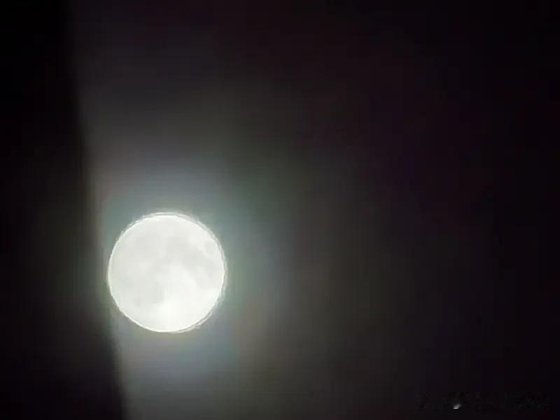 2026年6月，处女座简直是要嗨翻了！事业爱情双丰收，生活那叫一个美滋滋。月初受