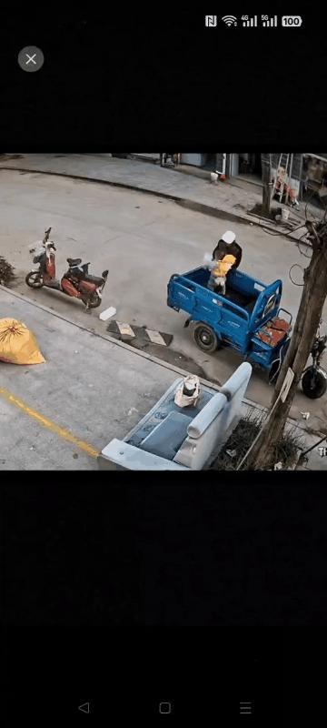 孩子小不长记性情有可原,大人不长记性就不可思议了!近日,有网友发视频显示,一