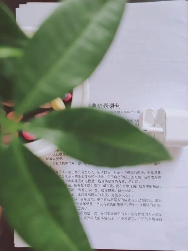 人该在乎别人背后的闲言闲语吗？我觉得真没必要太当回事。生活中，总有人在背后碎嘴，