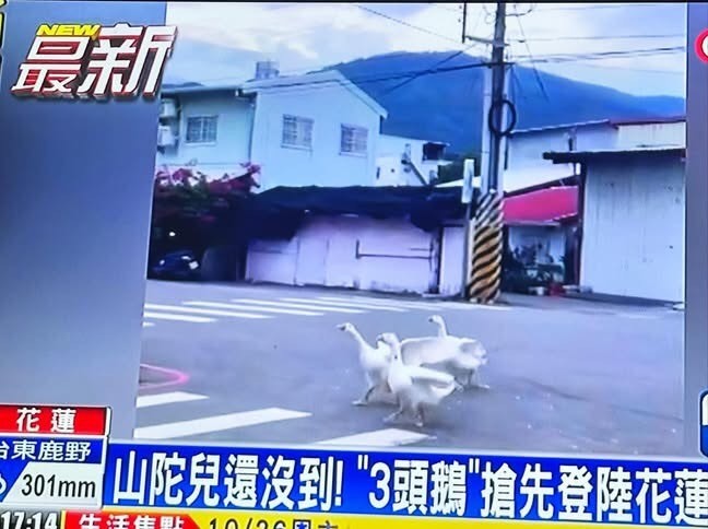 一個颱風的諧音梗[捂脸哭]​​​