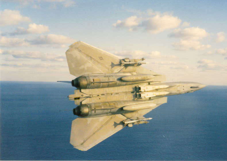 猫宁。F-14大猫的性感机腹