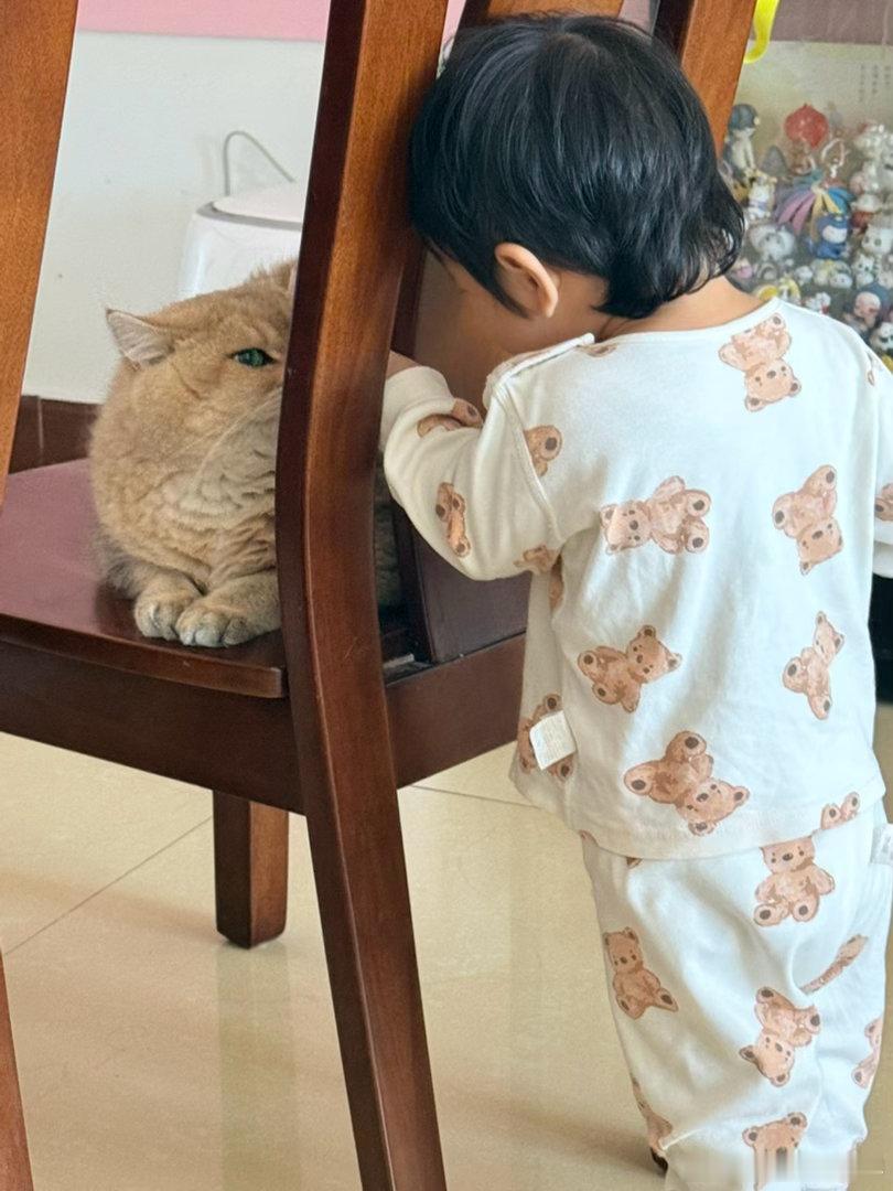 妹妹：以后你给我老实点！萌宠猫咪十一晒宠打卡​​​