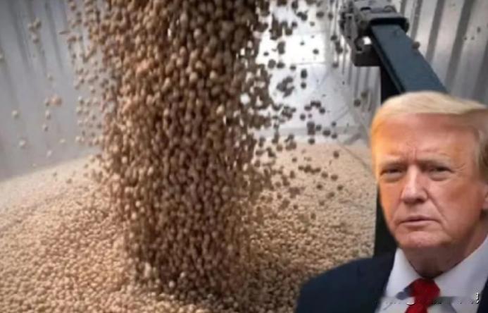 中国买了那么多美国大豆，也开放了对美稀土供应，得到的结果却是美国“台湾保证实施法