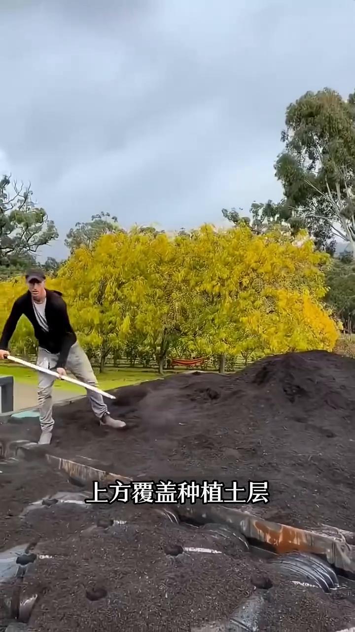 这就是为什么国外有钱人夏天不开空调，家里依旧凉爽的原因。不是因为户型通透，而是一