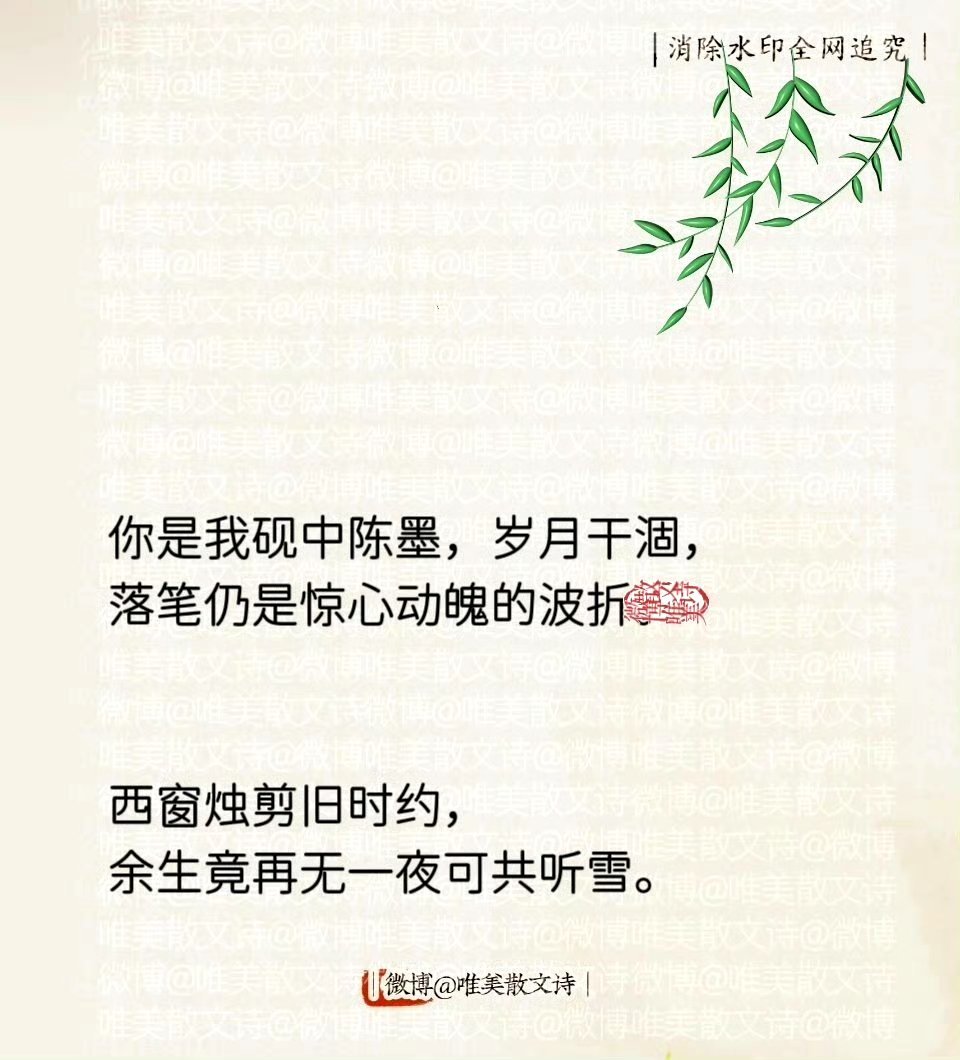 “美得一塌糊涂的古风句子。”