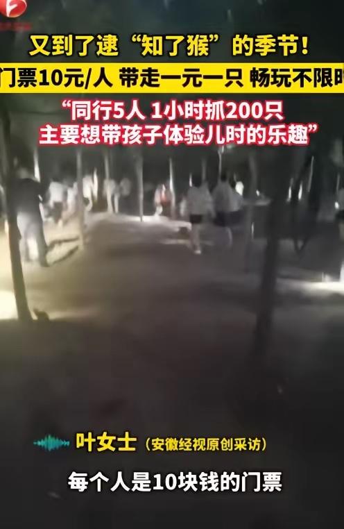 2025年6月，江苏徐州，一老板为了赚钱，开放自家“知了猴”养殖场，10块钱1人