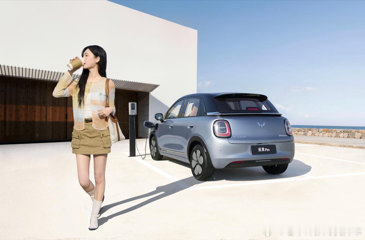 【预售5.88万起，别拿老缤果看缤果Pro，专为女性打造的家族进阶款】4月14日