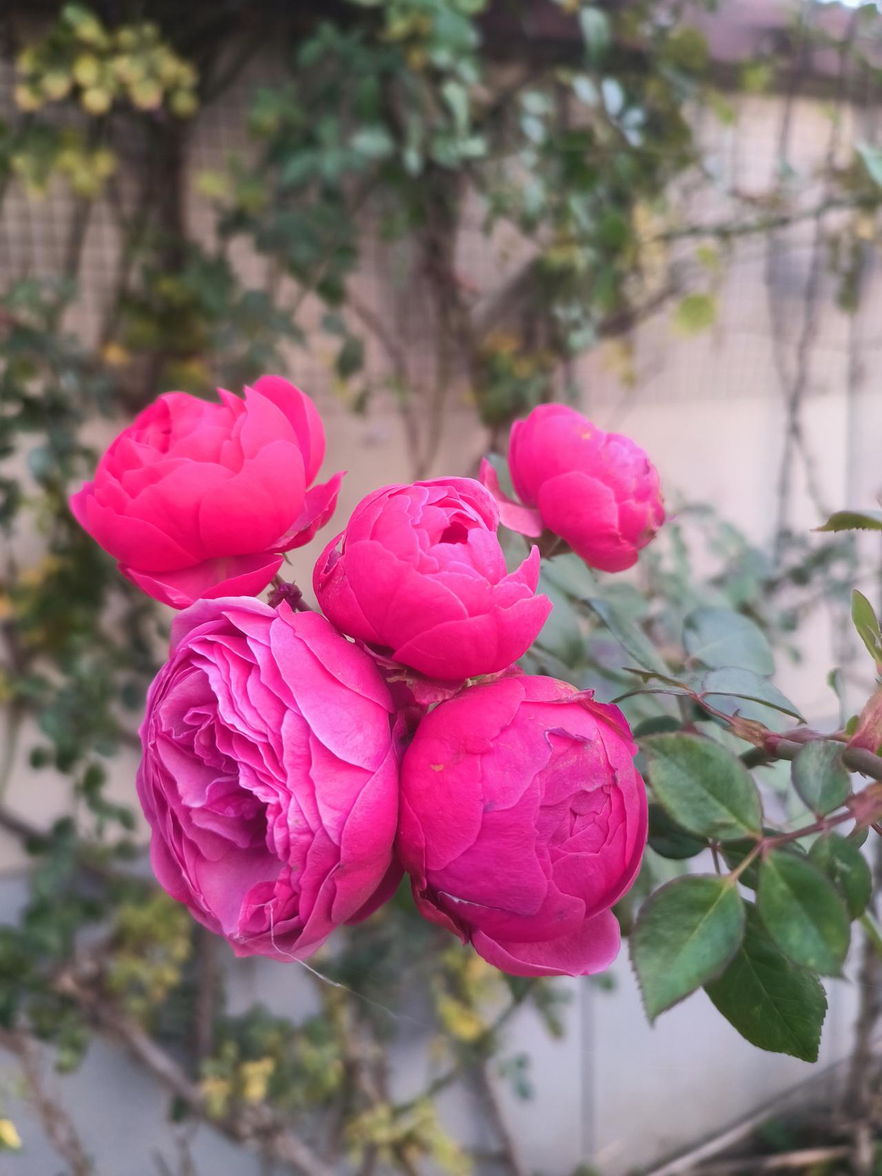 现在学校教师的编制都非常紧张，只要有老师请假，安排课就挺犯愁。某学校有位老师