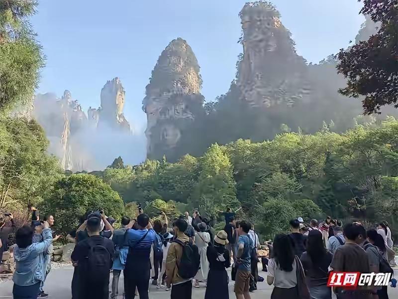 张家界那位售票大姐，这回真是白干了五六年。她按公示规则核验证件，匈牙利居留卡