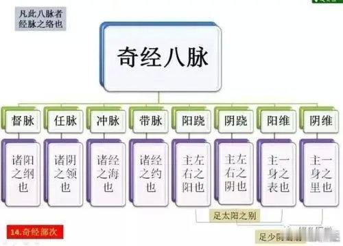 中医针灸；中医针灸经络系统，是由哪些经络组成的？是由：十二经脉、奇经八脉，十五络