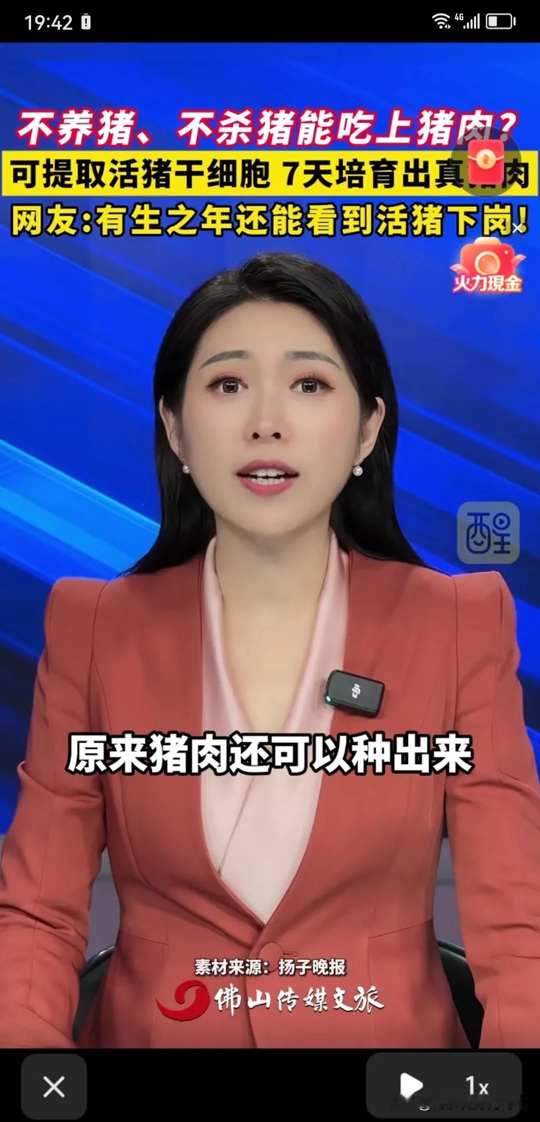 原来我国的技术这么先进了的吗？不用养猪不用sha猪也能吃到跟猪肉？猪肉也能种出来