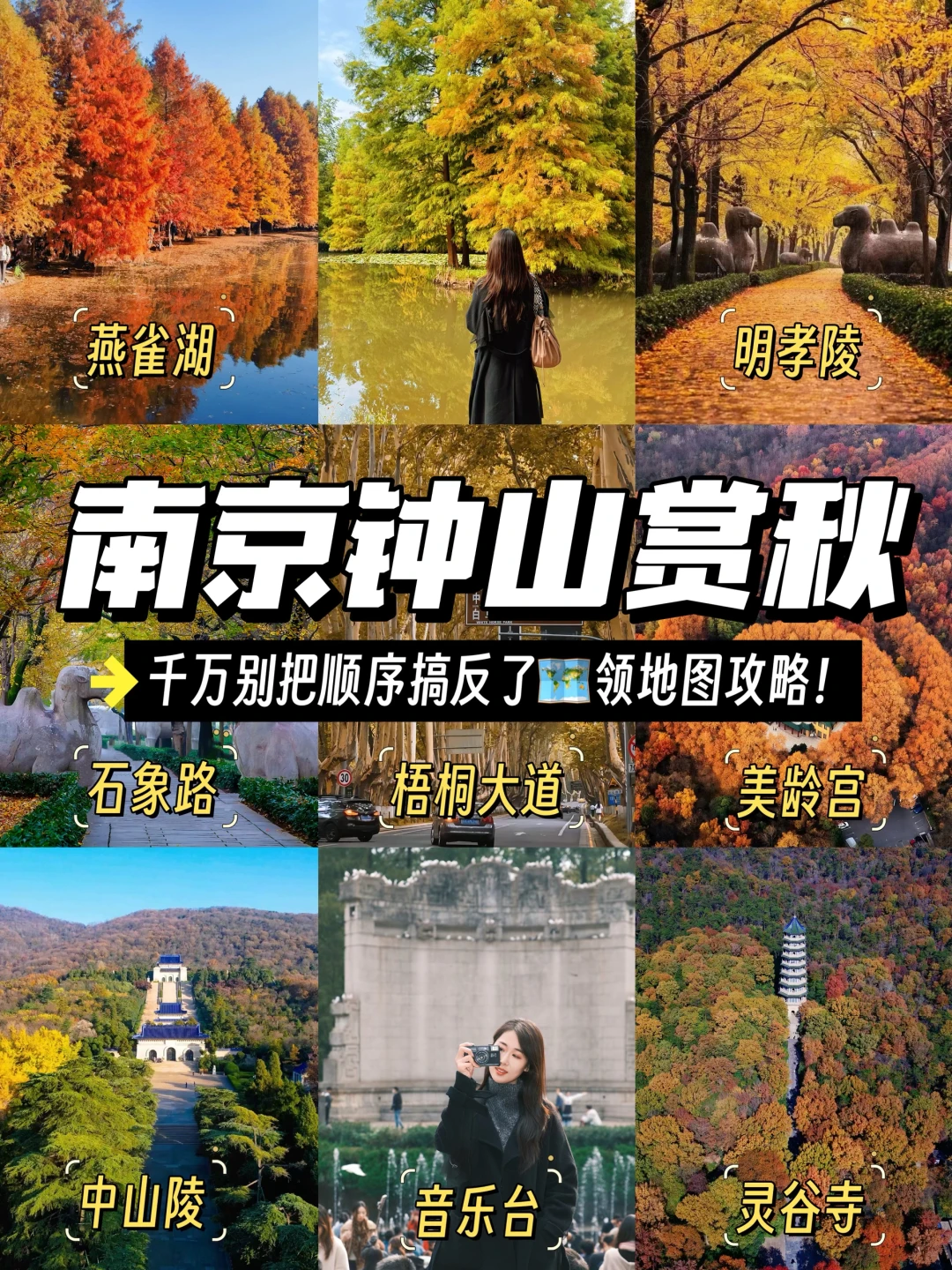 这个秋天，总要来一趟南京吧！11月12月必冲！