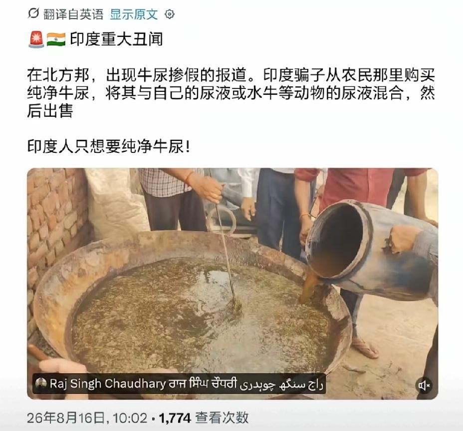 【印度严打牛尿中掺假人尿：印度人缘何购买饮用牛尿？】印度开展对牛尿中掺假人尿行为