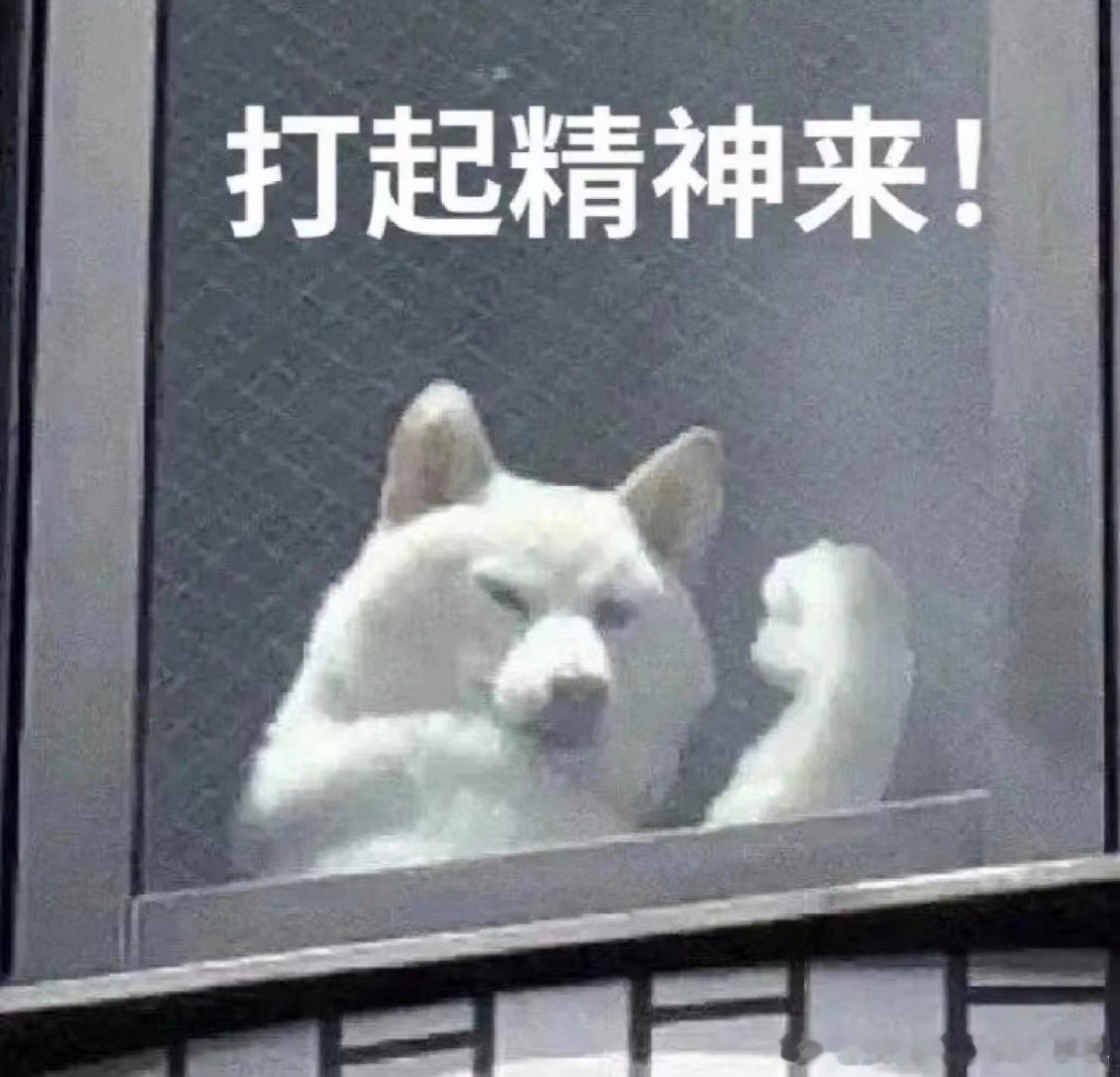 我再一次被玄学的力量震惊！我去年3月份在法喜寺捐了一点钱，刚和我小男朋友闲聊提到