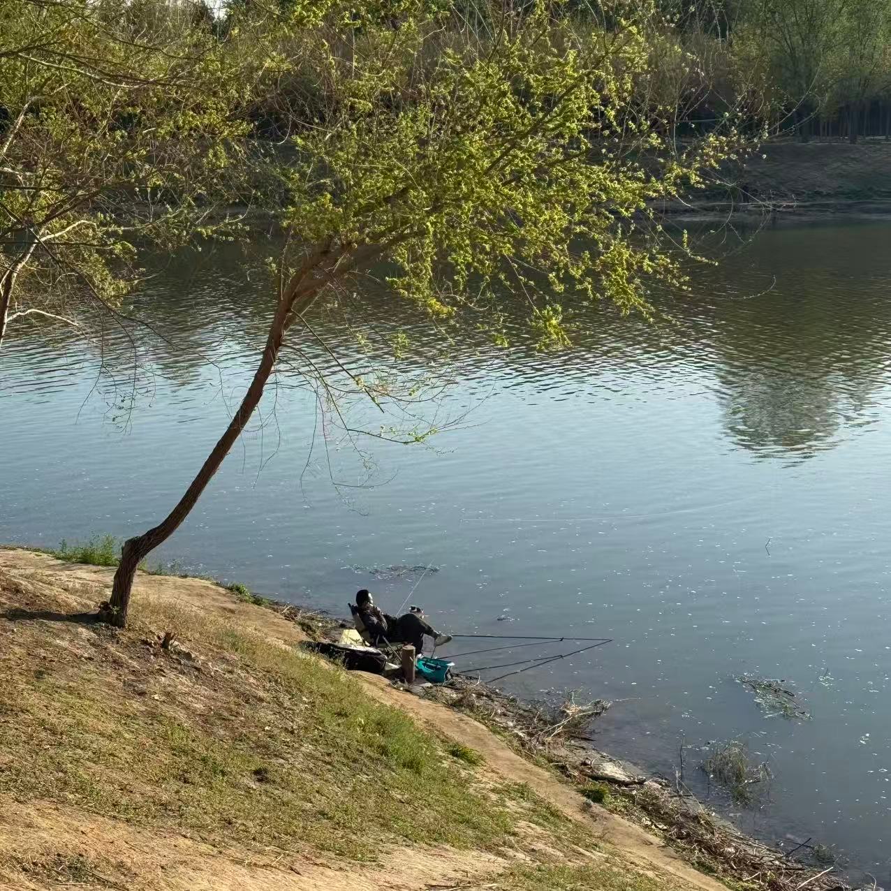车若初见钓鱼佬的一天，太悠闲了
