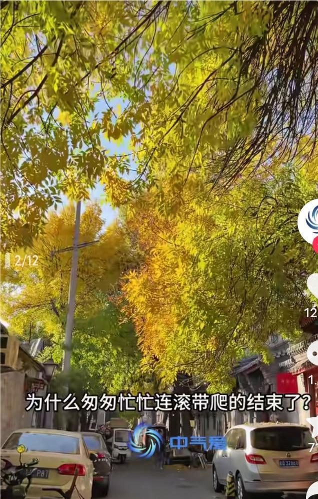换季式冷空气来了最近，来自西北乌鲁木齐、东北哈尔滨的消息告诉我们，雪已经悄然