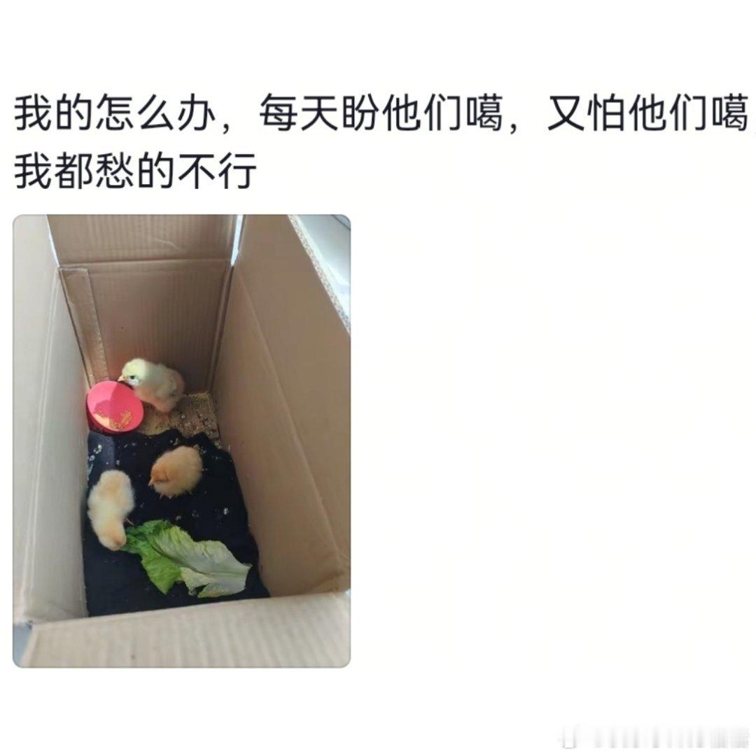 上学的孩子留给家长的任务