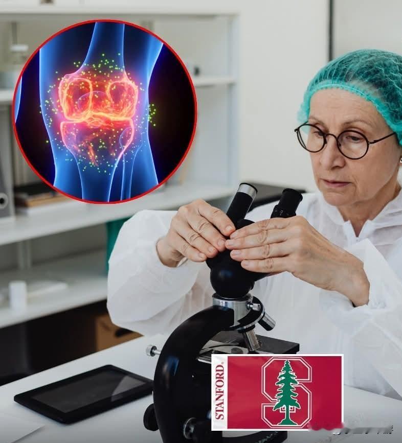 一项颇具前景的新方法旨在再生老化的软骨，这一突破有望彻底改变我们治疗骨关节炎的方