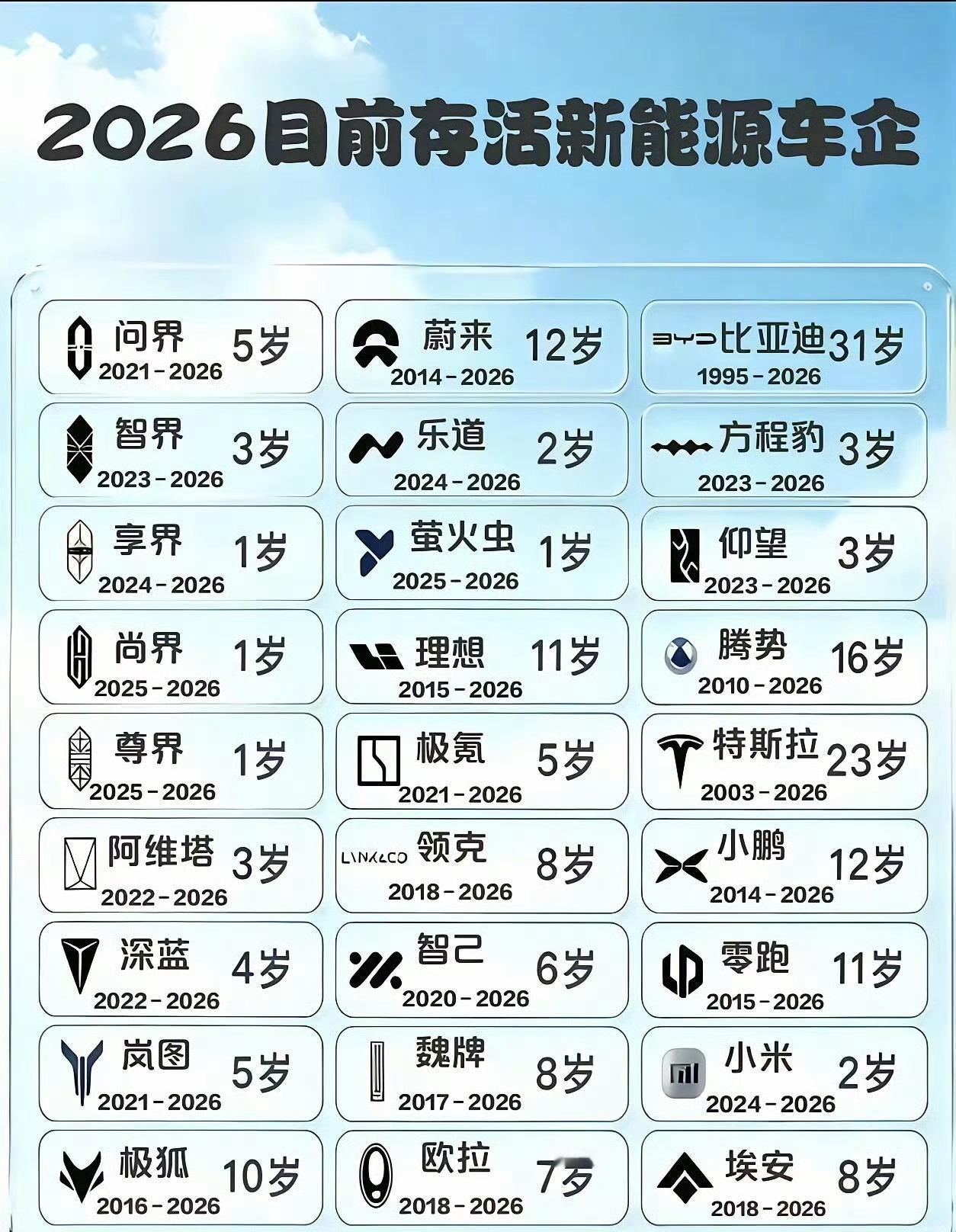想买新能源汽车的人必看