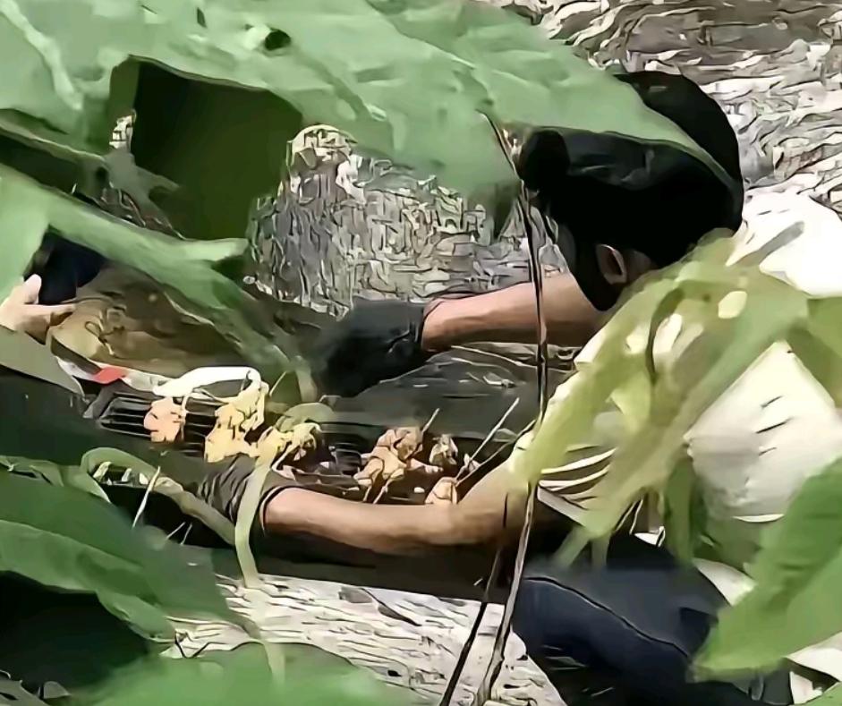 关于印度人在秦岭西安金龙峡林中烤肉的事，目前还没有官方后续处理通报。很可能不