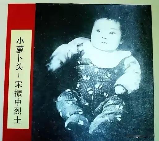 8岁小萝卜头之死：蒋介石的“斩草除根”藏着何等残忍1949年，毛人凤问蒋介