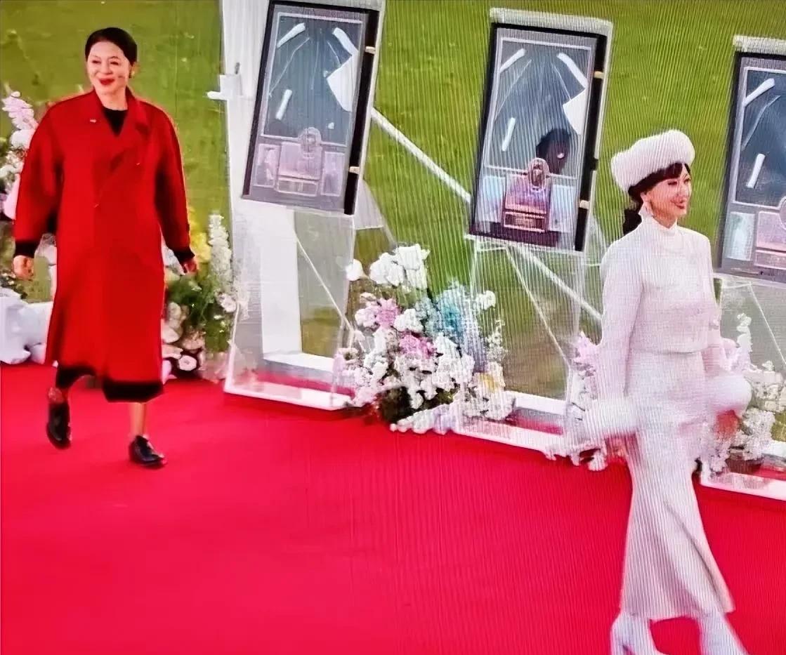 热度狂飙！2025乘风之夜高能剧透来袭，赵雅芝公开为叶童打call的视频瞬间点燃