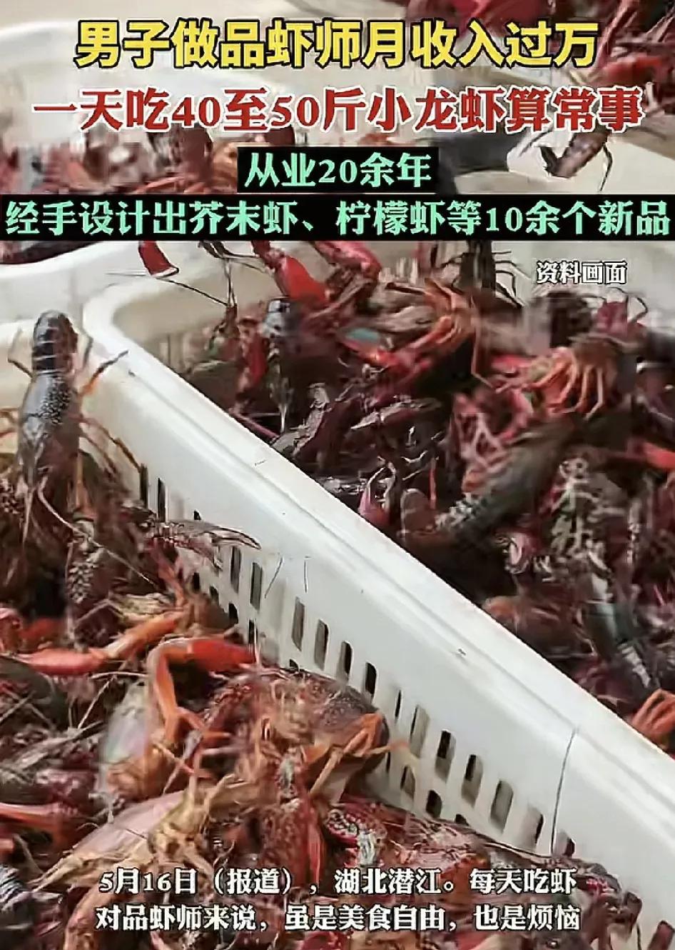 5月16日，湖北潜江一位品虾师诉说自己的工作日常每天吃虾40斤，这对于他来说还是