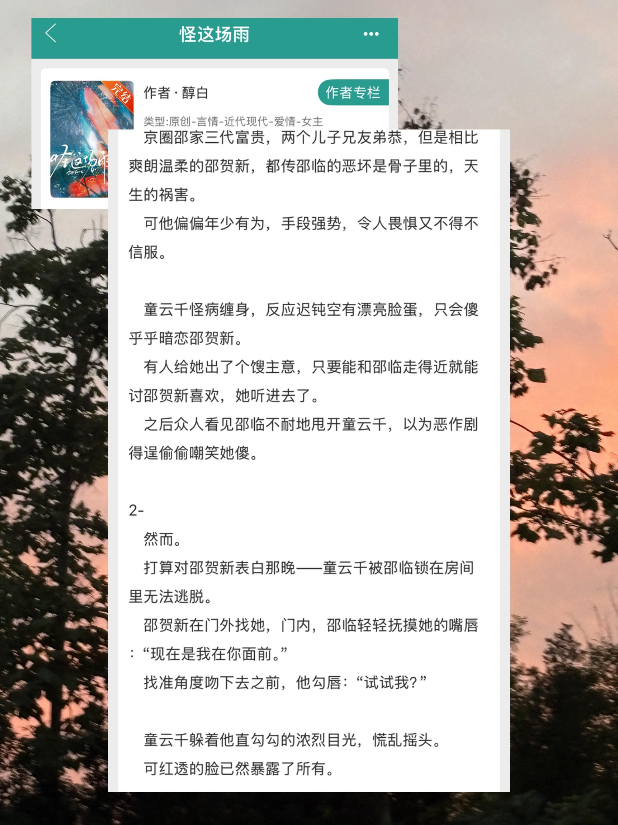 言情小说 言情 推书 小说 推文