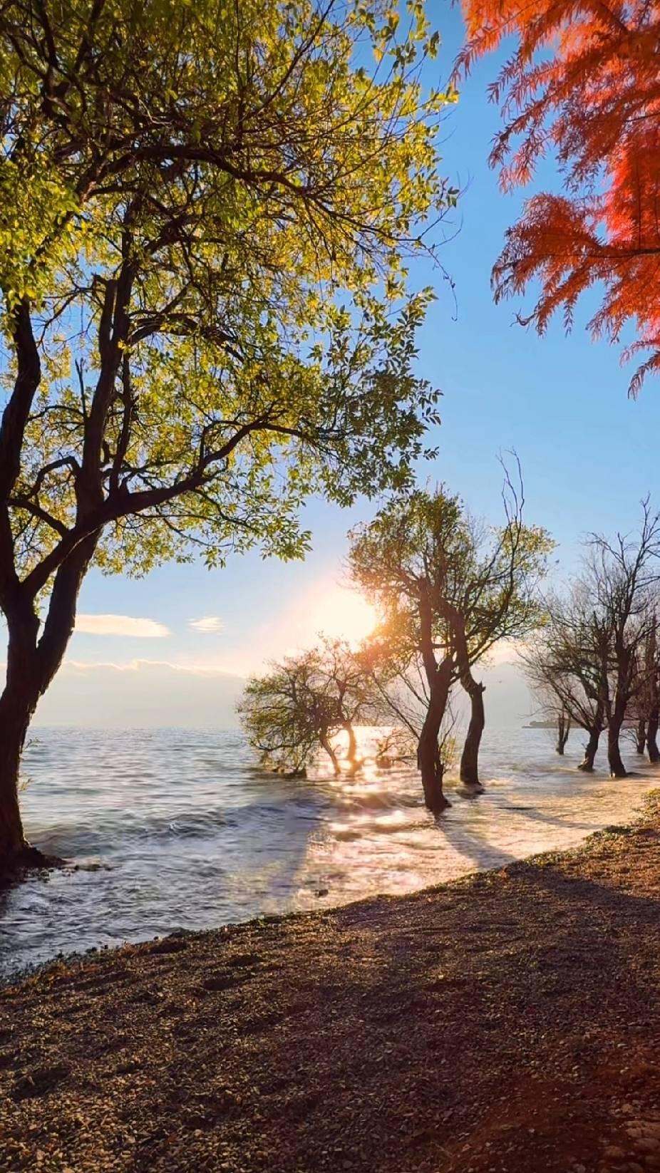 很治愈的一段话:“当事态不利于你的时候，尽量闭嘴，静就是吉，不乱就是不错，真正的