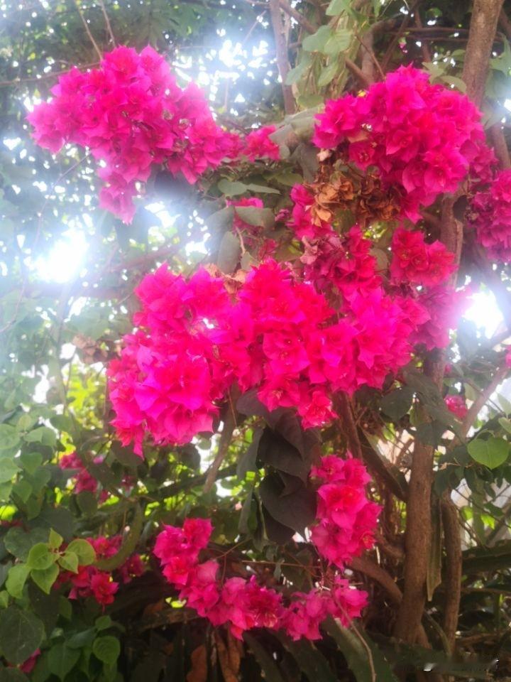 已婚的女人面对老公背叛，干这种事情，最是愚蠢。一女子，为了报复老公背叛，和老公外