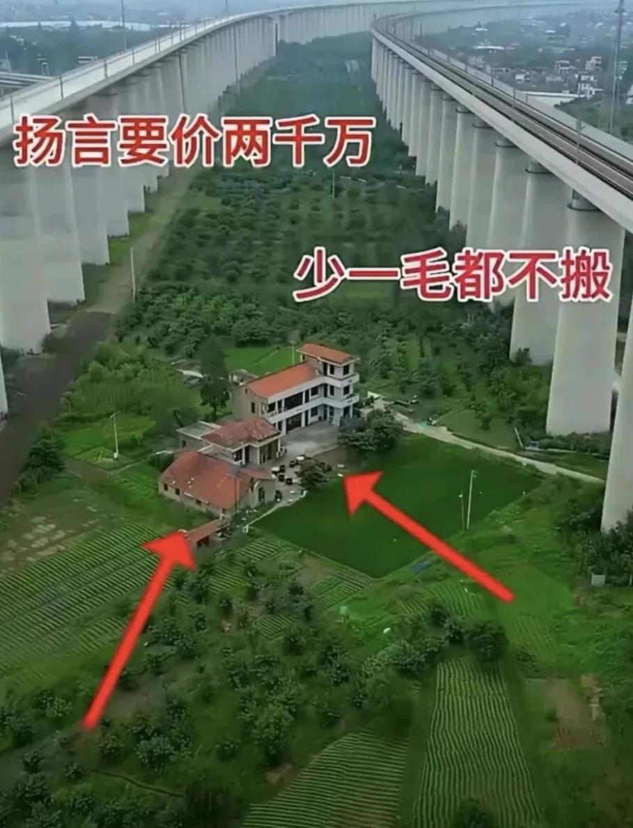 他们现在后悔吗？