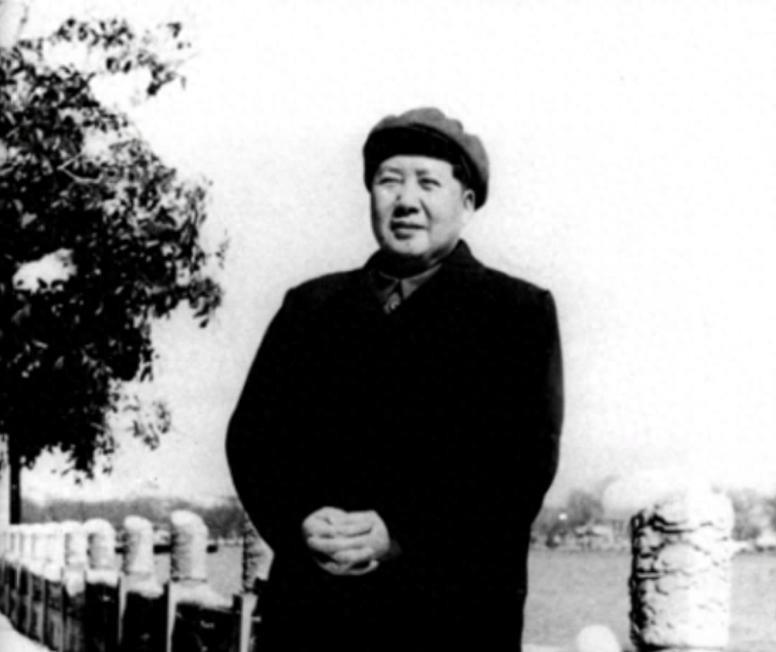 1949年，毛主席在玉泉山散步，突然看到一个人，警卫大喊：抓起来“同志，你看那