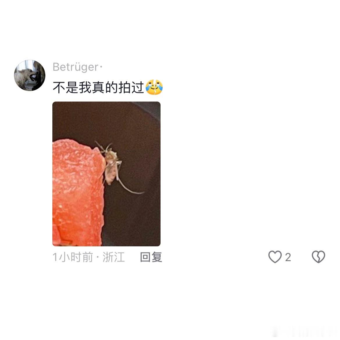 原来蚊子还会吸果汁  ​​​