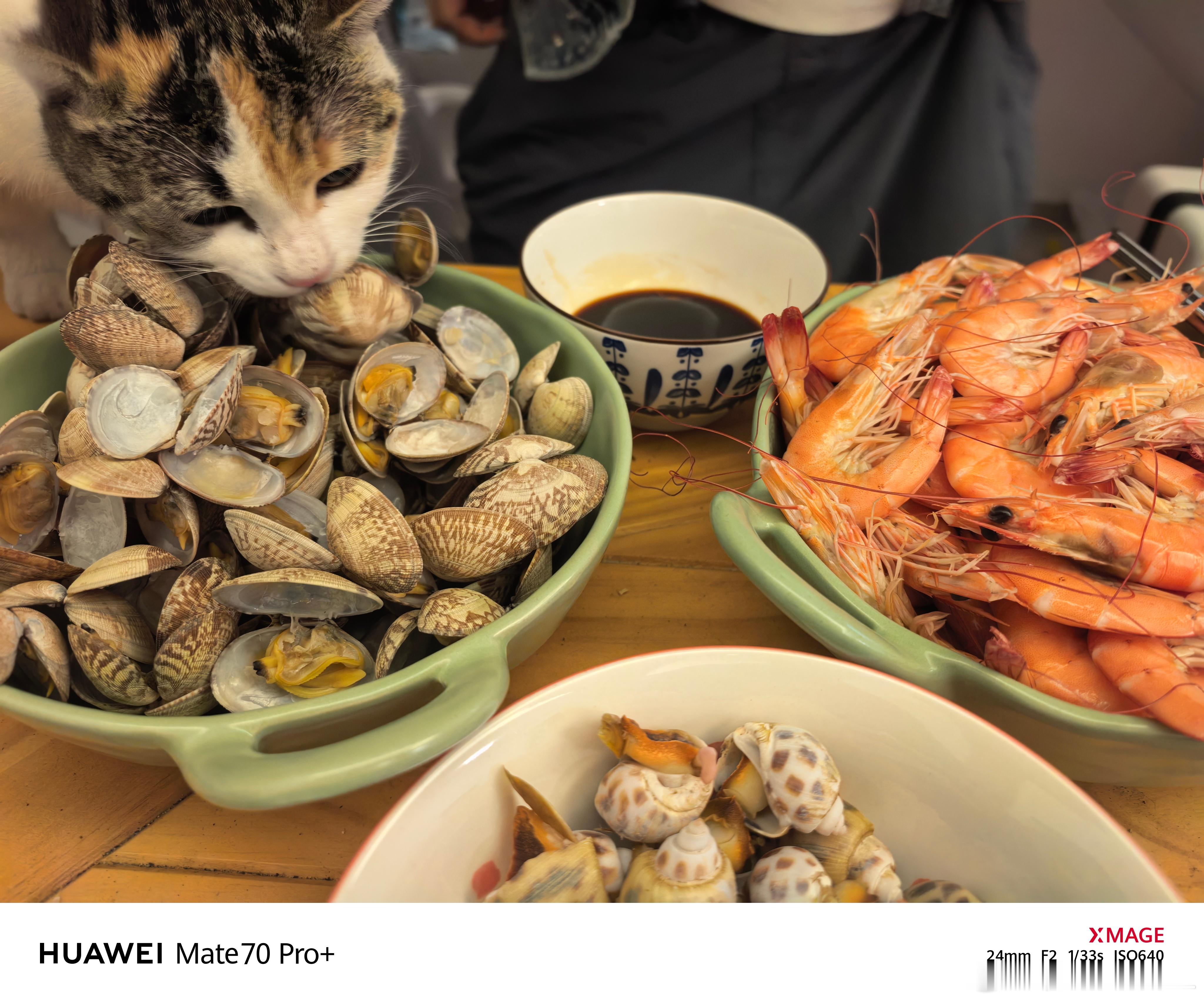 难得亲自下厨。作为一名在海边长大的孩子，我只会蒸海鲜。(请忽略这只不讲武德的猫）