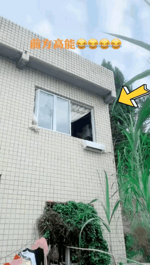 请问这是地球人该干的事吗？[笑着哭]