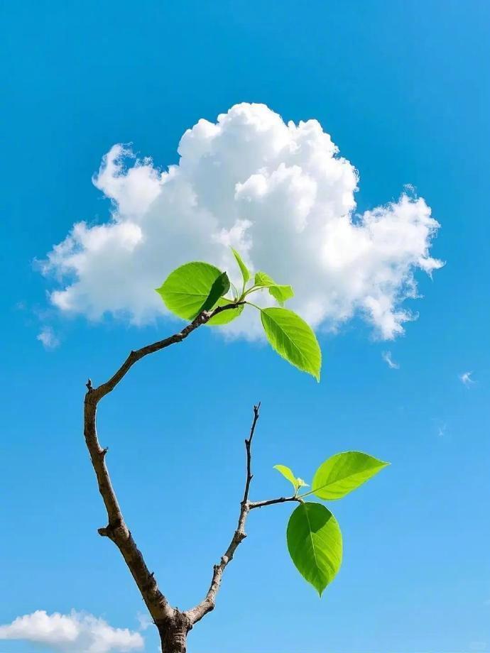 为何说普通百姓未来做什么不重要，不做什么才重要。你只要不炒股，至少能跑赢七成股