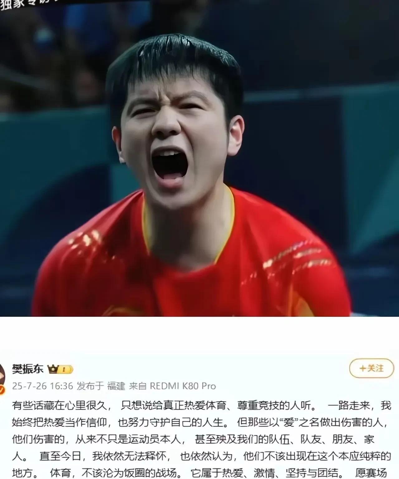 樊振东凭借球技在体育界大放异彩，阅读其文字后，更让人看到他文学素养的一面，越发让