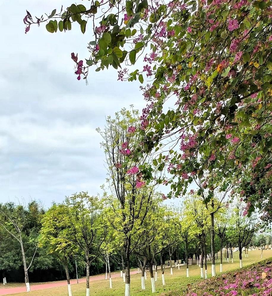 昨天，远嫁武汉的大姑子给我转了3000元，并说她今年要回娘家过年，让我多备点年货