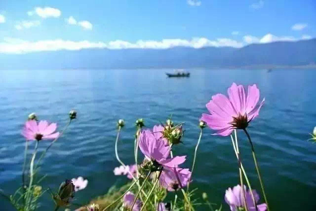 希望陪你颠沛流离，看尽苍山洱海。​​​