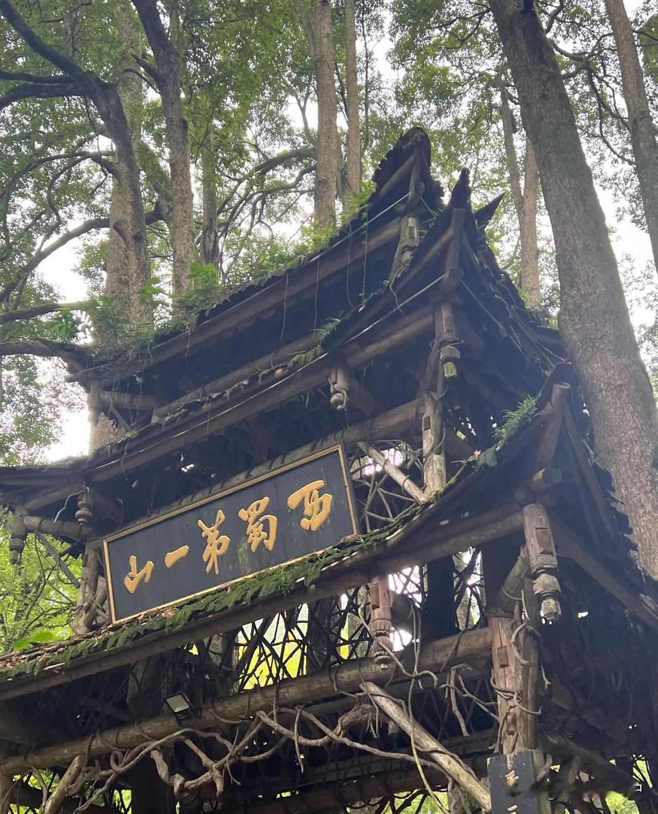 昨天兴冲冲去青城山玩，没成想刚到停车场，就栽在了“本地带路党”手里，钱花了、时间