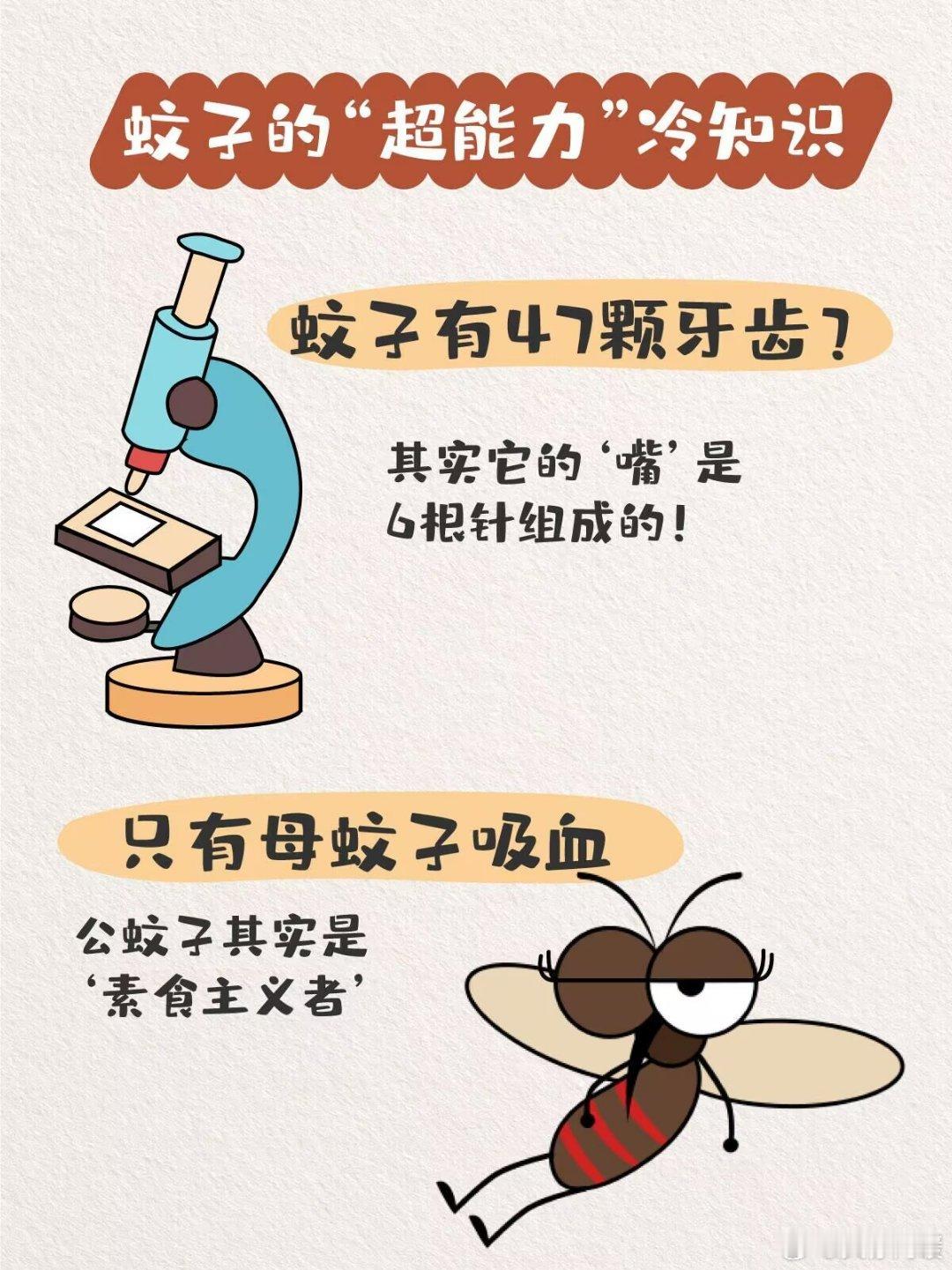 蚊子冷知识大揭秘：咬人真和血型无关！你以为蚊子咬人全凭运气？错啦，它就像自带红