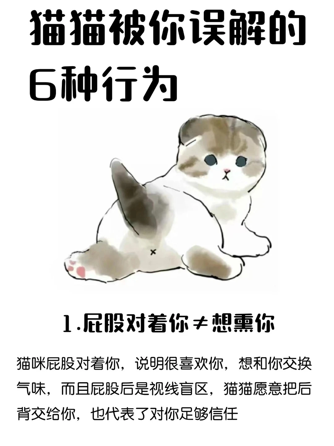 猫猫被你误解的6种行为