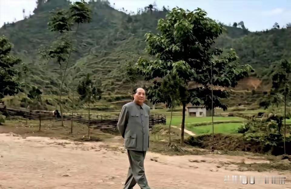 大踏步往前走