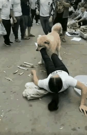 都是犟种！狗子犟也就罢了！毕竟它是狗！这小伙子也是一犟种！狗子咬住女子的腿不松口