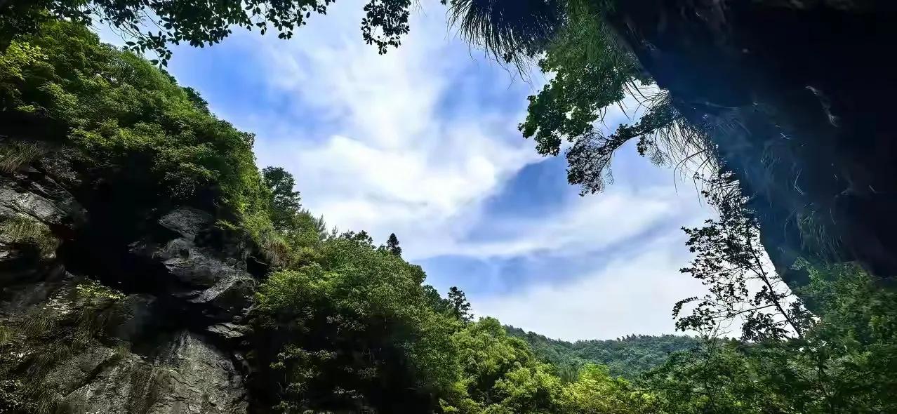 泪目！老人查出癌症晚期，撕碎报告单笑着回家，最后3个月的选择看哭全网“谁陪