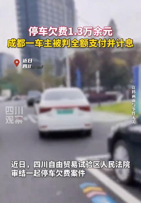 车主停车欠费一万三被判全额支付还计息成都一车主在路边划线停车位停车2411次